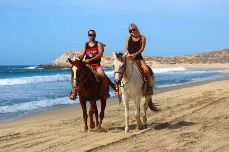 Cabo San Lucas: Desert and Beach RZR and Horseback Riding - The Experience: A Detailed Breakdown