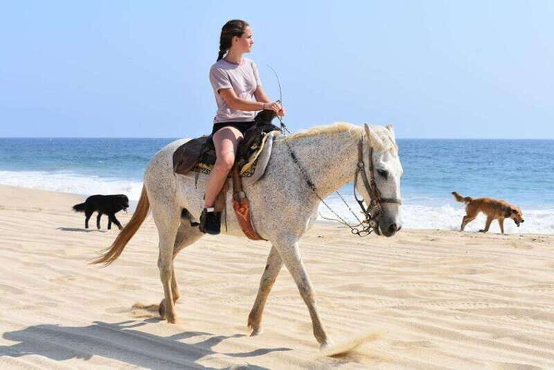 Cabo San Lucas: Desert ATV & Beach Horseback Combo - Practical Tips for Participants