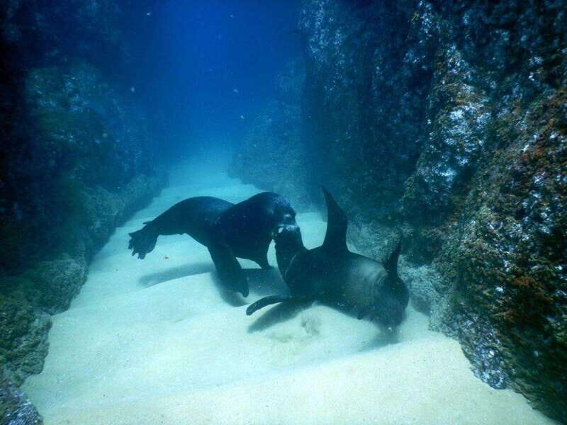 Cabo San Lucas: Discover Scuba Diving Experience - The Iconic Spots You’ll Visit
