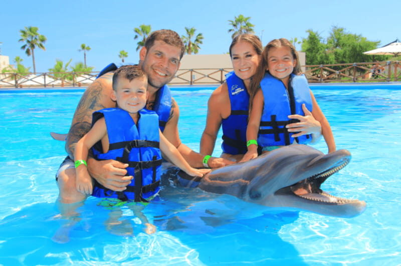 Cabo San Lucas: Dolphin Premium Swim Interactive Adventure - Analyzing the Value