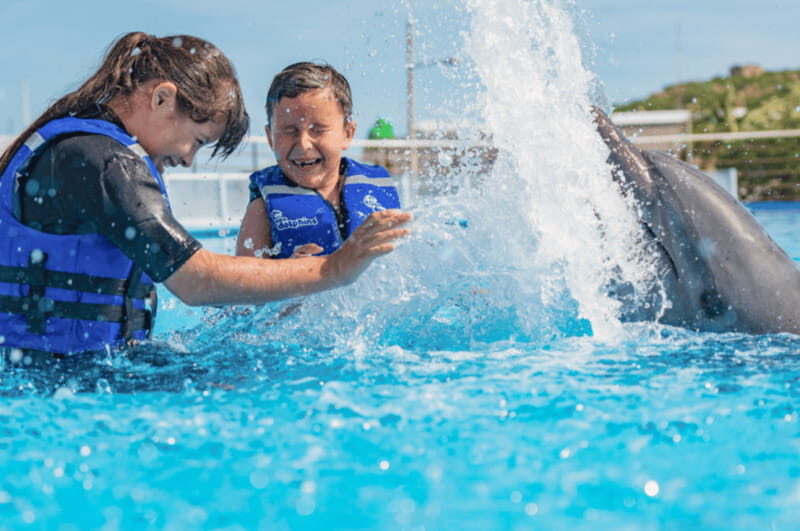 Cabo San Lucas: Dolphin Premium Swim Interactive Adventure - Final Thoughts