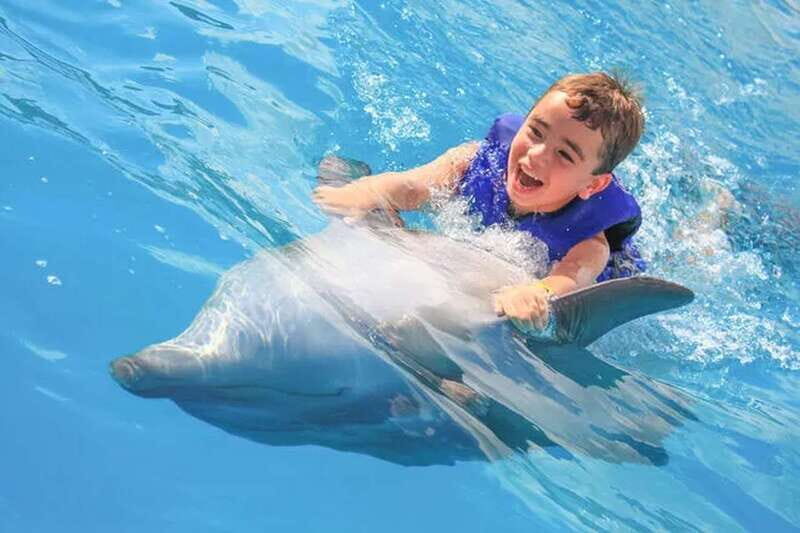 Cabo San Lucas: Dolphin Swim Class with Marine Specialist - Introduction
