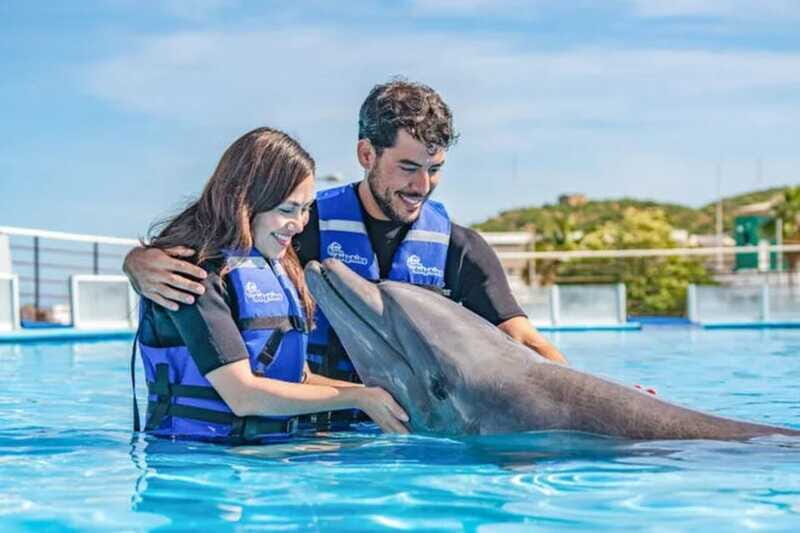 Cabo San Lucas: Dolphin Swim Class with Marine Specialist - FAQs