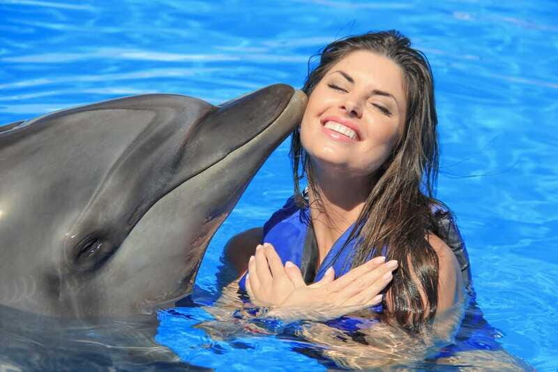 Cabo San Lucas: Dolphin Trainer For a Day Experience - FAQ