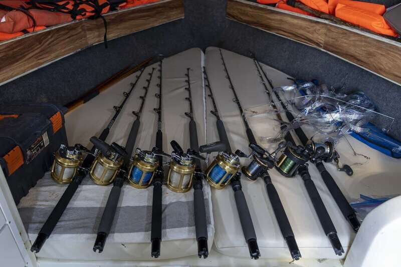Cabo San Lucas: Full-Day All-Inclusive Fishing Trip - Who Might Want to Consider Other Options