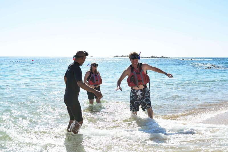 Cabo San Lucas: Guided Snorkeling Tour with Transportation - Key Points