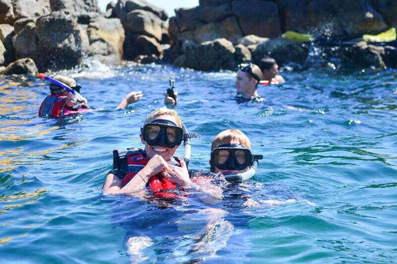 Cabo San Lucas: Guided Snorkeling Tour with Transportation - An In-Depth Look at the Snorkeling Experience