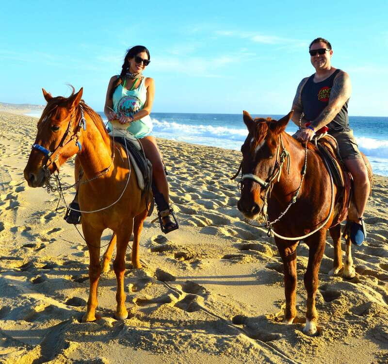 Cabo San Lucas: Horseback Riding Adventure - The Detailed Experience of the Cabo Horseback Riding Adventure