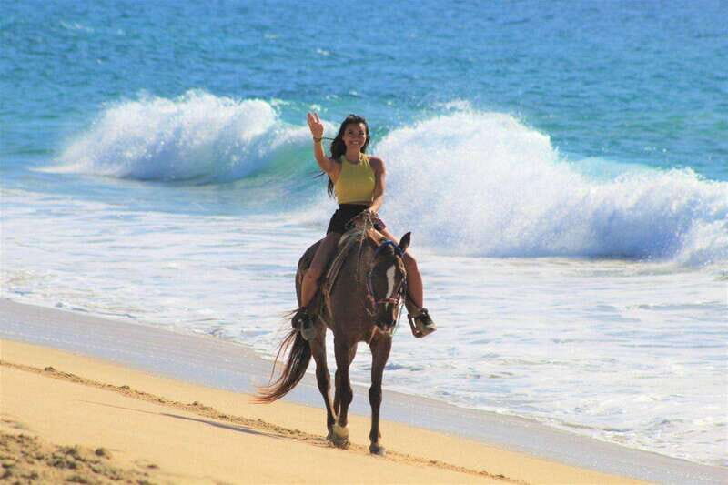 Cabo San Lucas: Horseback Riding Corredor Turistico - An Authentic Ride Along Baja’s Beautiful Beaches
