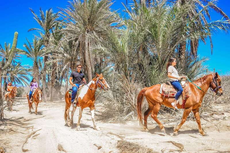 cabo-san-lucas-horseback-riding-in-migrino-with-transfers