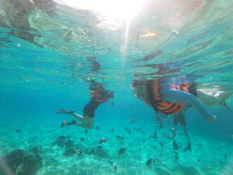 Cabo San Lucas: Kayaking Adventure Tour - What to Expect from the Cabo Kayaking Adventure