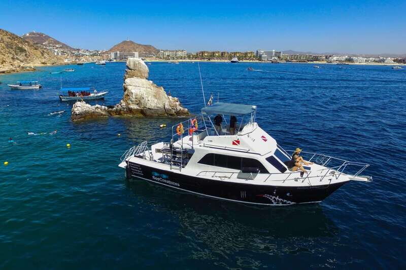 Cabo San Lucas: Local Dives (CSL Marine Park) and Corridor. - Exploring Cabo San Lucas’s Marine Wonders