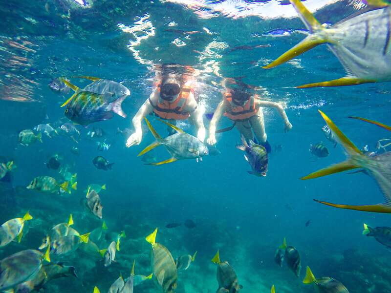 Cabo San Lucas: Luxury Catamaran and Snorkelling with Lunch - Final Thoughts