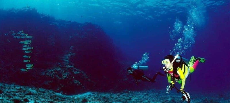Cabo San Lucas: Marine Reserve Dive - Cabo San Lucas: Marine Reserve Dive – An Authentic Underwater Adventure