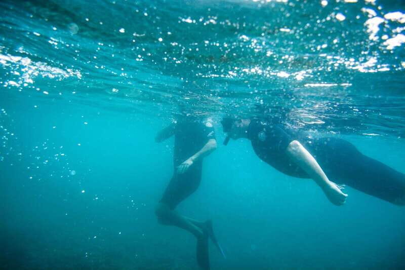 Cabo San Lucas: Private Jeep Tour to Cabo Pulmo & Snorkeling - FAQ