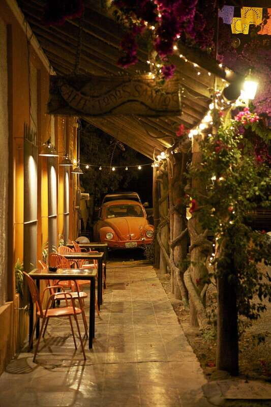 Cabo San Lucas: Private Jeep Tour to Todos Santos - Practical Details and Tips for the Tour