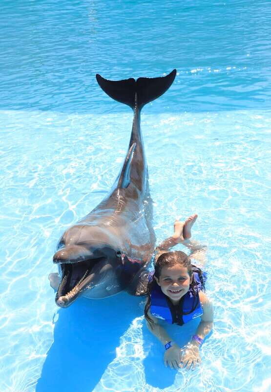 Cabo San Lucas/San Jose del Cabo: Dolphin Encounter - Key Points