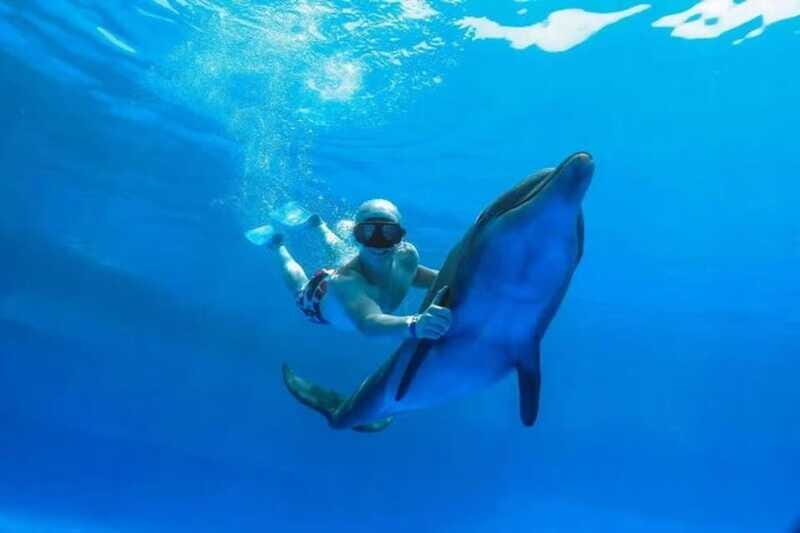 Cabo San Lucas/San Jose del Cabo: Dolphin Encounter - FAQ