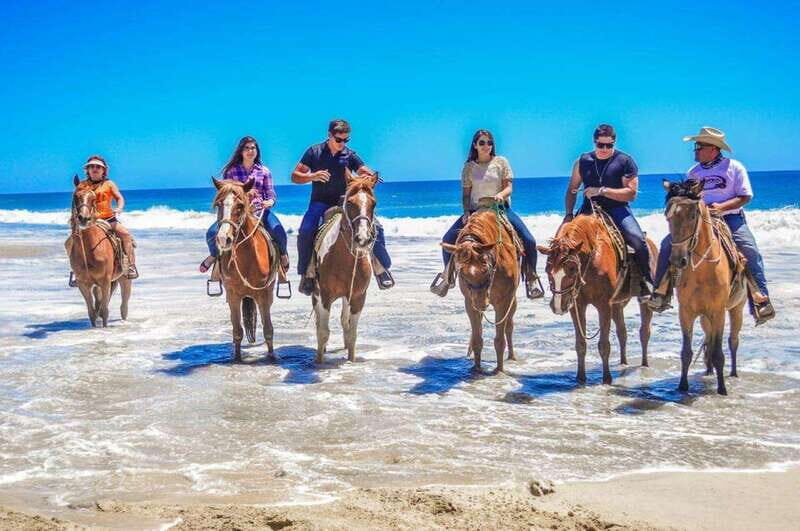 Cabo San Lucas: Scenic Horseback Ride Along the Corridor - Key Points