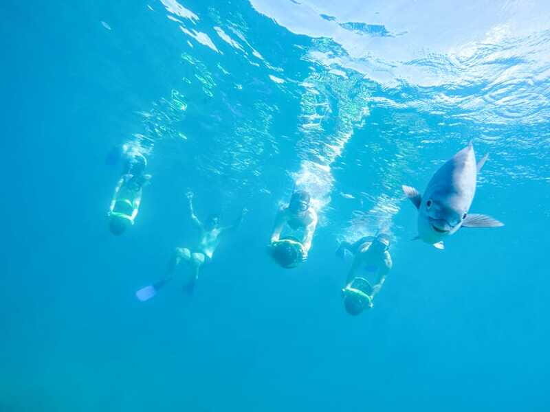 Cabo San Lucas: Snorkel, Paddle-board, and/or Kayak Tour - FAQ