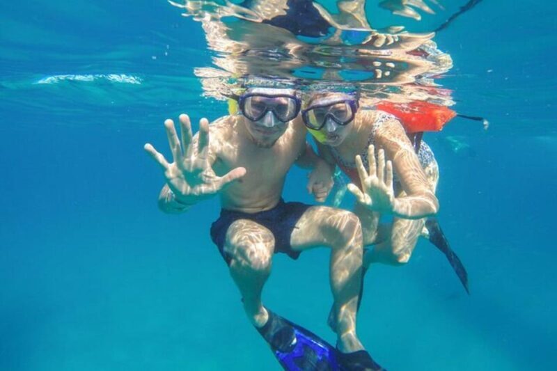 Cabo San Lucas: Snorkeling and Sailing Cruise with Lunch - Practical Tips for Your Adventure