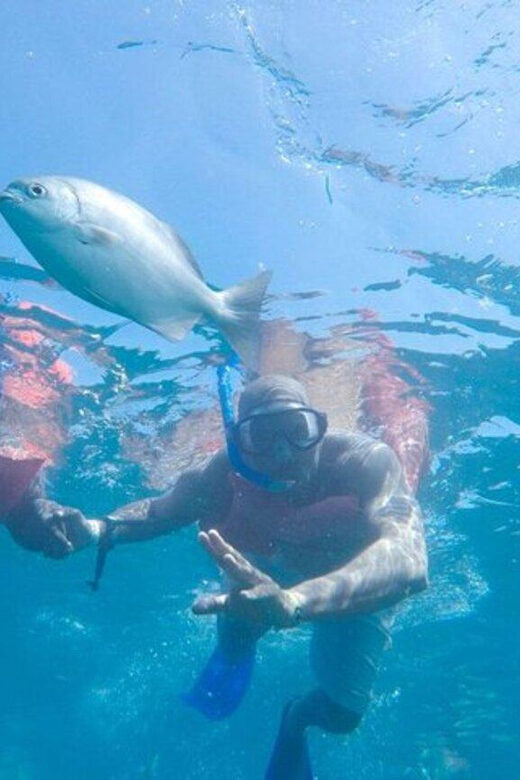 Cabo San Lucas: Snorkeling and Sailing Cruise with Lunch - FAQs