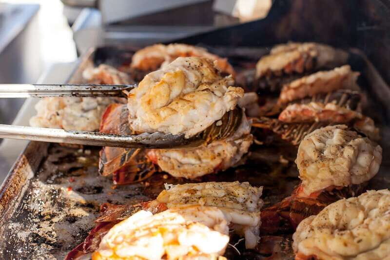Cabo San Lucas: Sunset Dinner Cruise - The Experience: What to Expect from Start to Finish