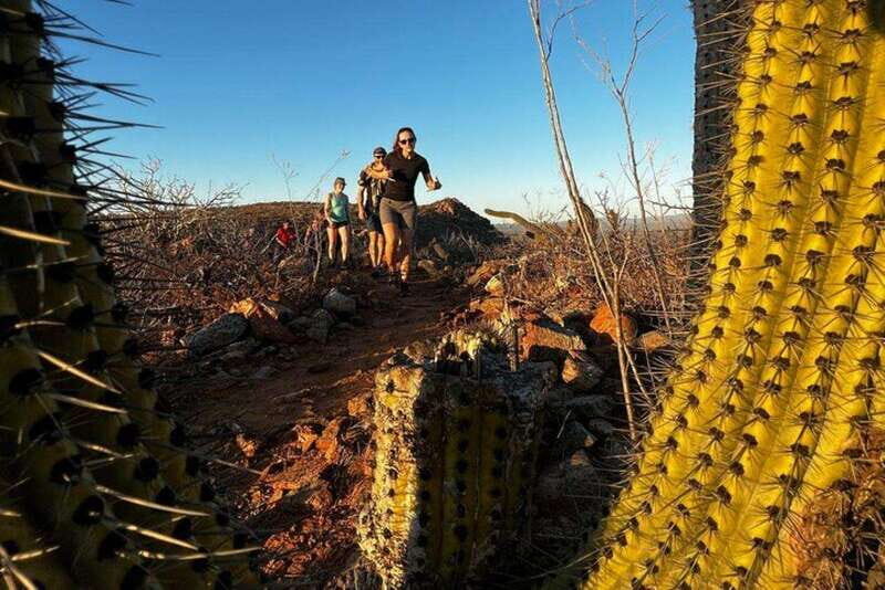 Cabo San Lucas: Todos Santos Sunset Hike - Final Verdict