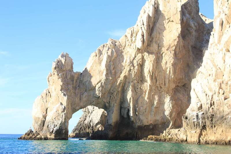 Cabo San Lucas: Up-Close Whale Watching Small-Group Tour - An Honest Look at the Whale Watching Tour