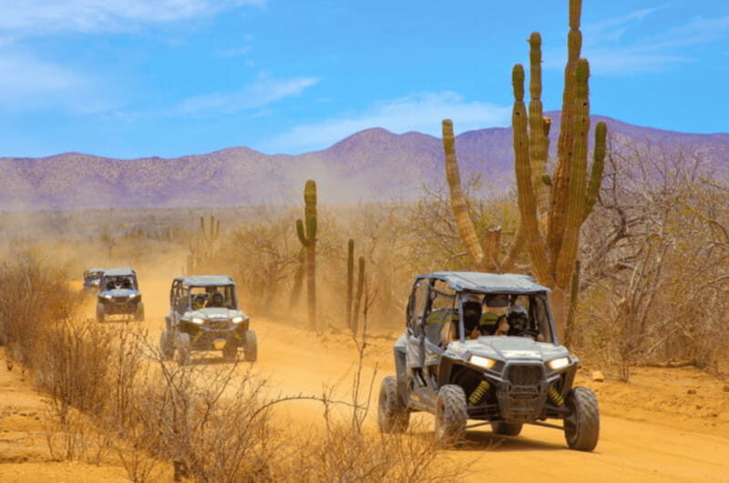 Cabo San Lucas: UTV Off-Road Adventure - Key Points