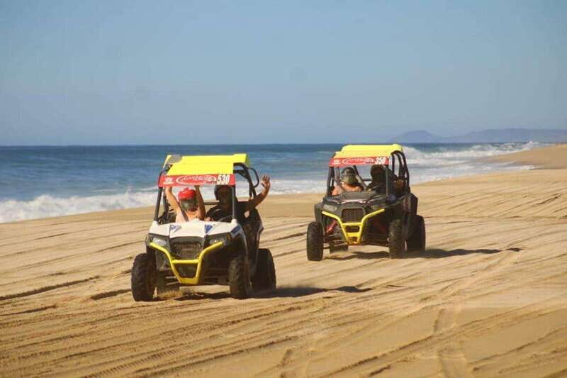 Cabo San Lucas: UTV Razor Tour of Migriño Desert and Beach - Frequently Asked Questions