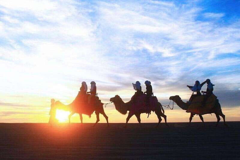 Cabo: Sunset Camel Ride and ATV Combo Adventure - Why This Tour Works