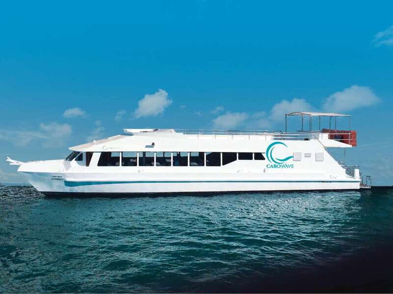Cabo: Sunset Cruise with Dinner, Music & Open Bar - Who Will Love This Experience?