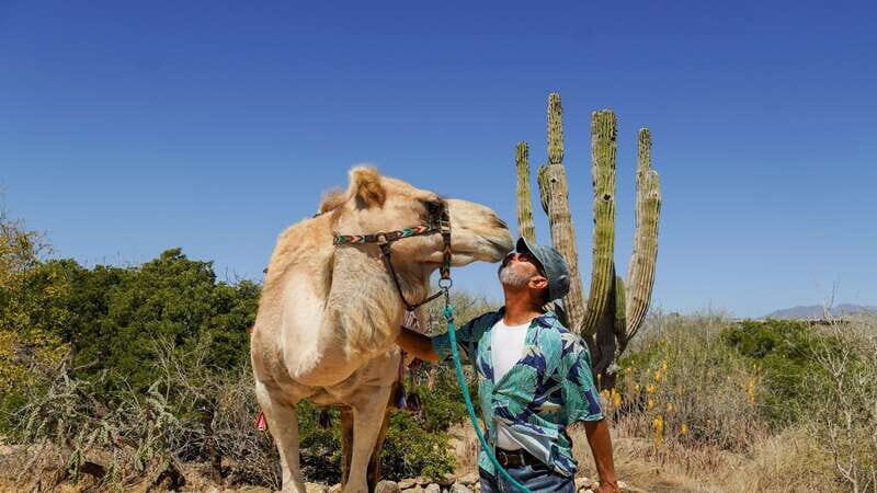 Cabo: Todo Santos Tour with Camel Ranch, Tequila and Lunch - Frequently Asked Questions (FAQs)  