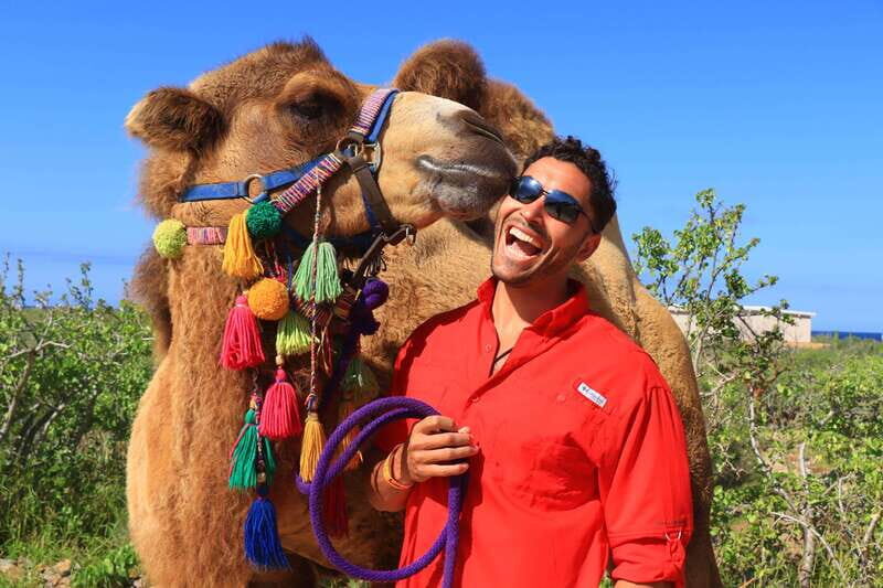 Cabo : UTV and Camel Ride in the Desert - What to Expect from the Cabo UTV and Camel Ride