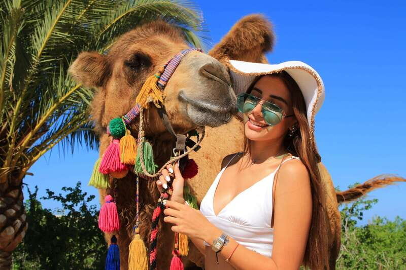 Cabo : UTV and Camel Ride in the Desert - FAQ