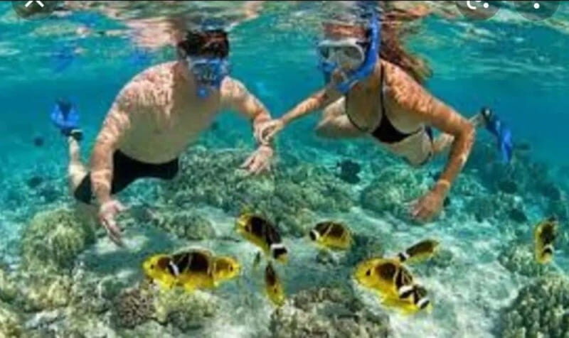 Cabos Private Yacht Tour, Water Activities, Lunch & Drinks - Practical Tips for Your Yacht Day