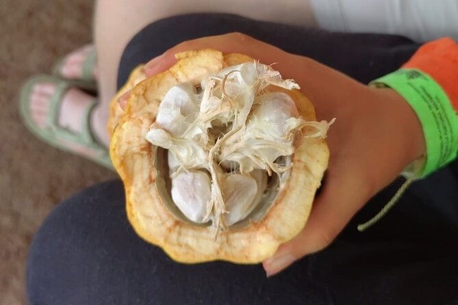 cacao-and-medicinal-plants-ceremony-private-guide