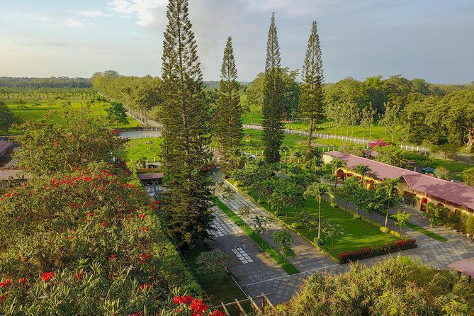 cacao-farm-and-hands-on-chocolate-making-with-3-course-meal-in-guayaquil
