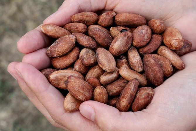 cacao-farm-and-hands-on-chocolate-making-with-3-course-meal-in-guayaquil
