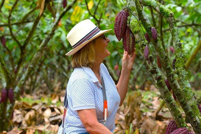 cacao-farm-and-hands-on-chocolate-making-with-3-course-meal-in-guayaquil