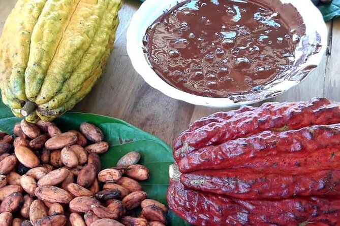 cacao-tour