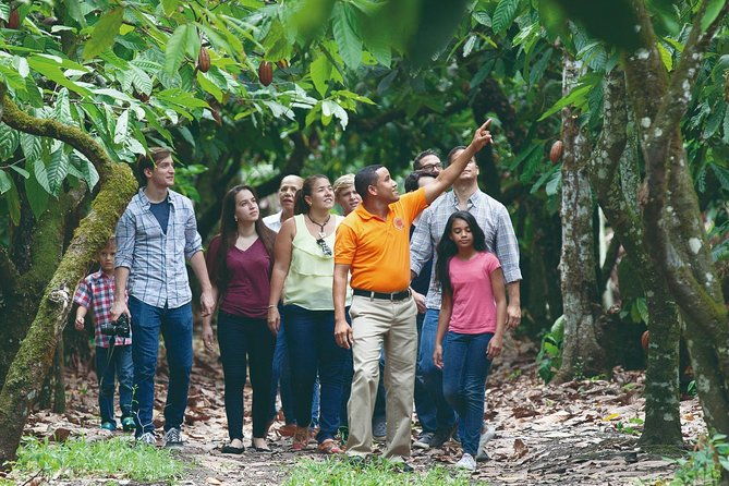 cacao-trail-and-making-of-chocolate-tour-from-santo-domingo