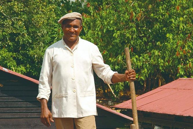cacao-trail-and-making-of-chocolate-tour-from-santo-domingo