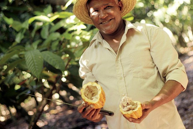 cacao-trail-and-making-of-chocolate-tour-from-santo-domingo