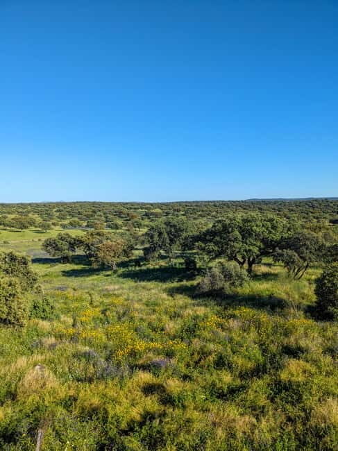 Cáceres: Monfrague Wildlife Full-Day Tour - Introduction