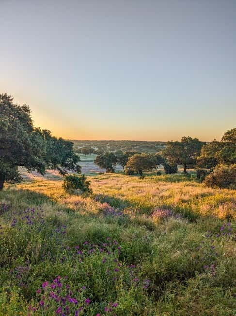 Cáceres: Monfrague Wildlife Full-Day Tour - Detailed Itinerary Breakdown