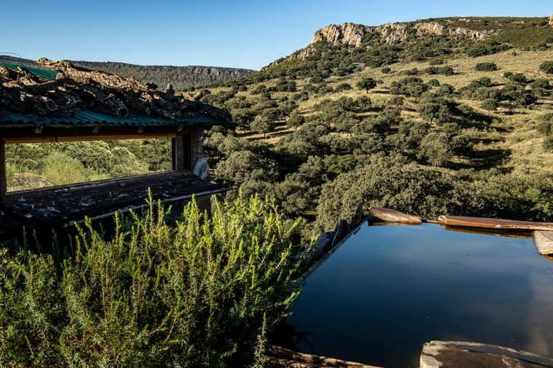 Cáceres: Monfrague Wildlife Full-Day Tour - What’s Included and What Not