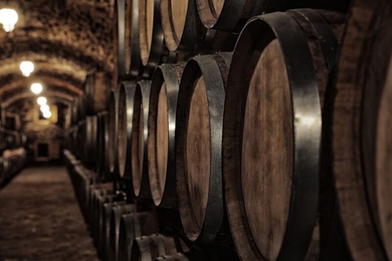 caceres-winery-tour-and-wine-tasting-with-local-guide
