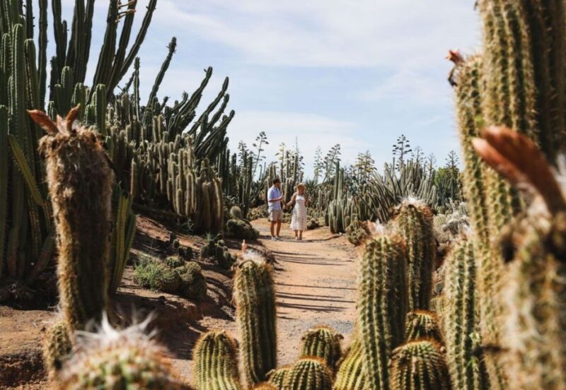 Cactus Country: Entry Ticket - The Trails and Gardens: What You Can Expect